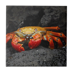 Crab Tile