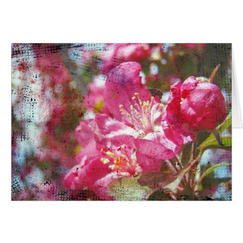 Crabapple Blossoms All Occasions Greeting Card 