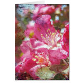 Crabapple Blossoms Cards (Front)