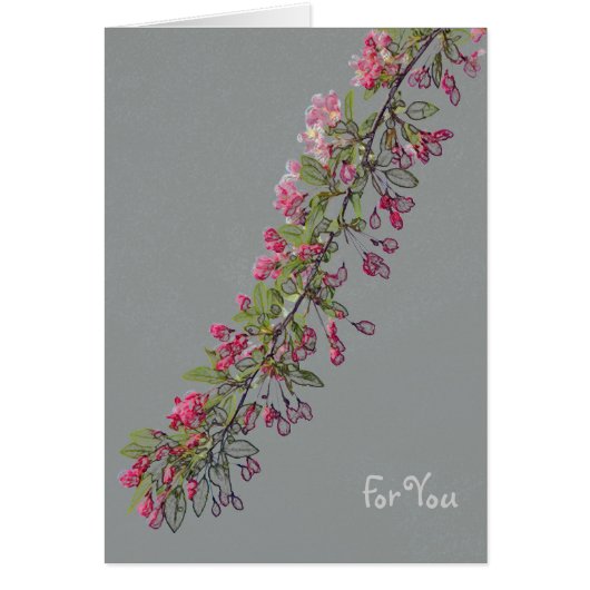 Crabapple Blossoms from Central Park Cards (Front)