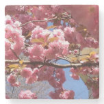 Crabapple