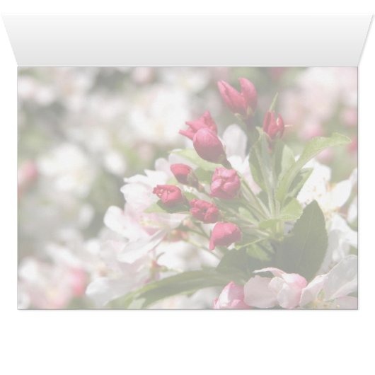 Crabapple Buds (Inside Horizontal (Bottom))