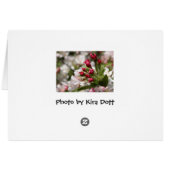 Crabapple Buds Cards (Back Horizontal)
