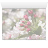 Crabapple Buds Cards (Inside Horizontal (Bottom))