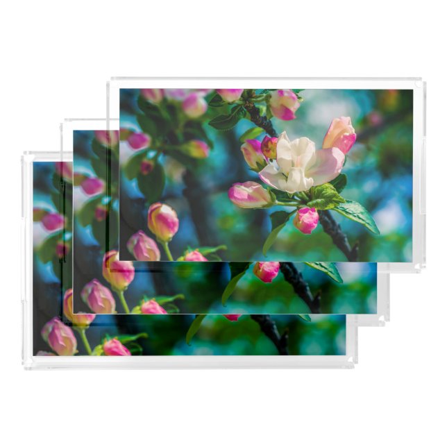 Crabapple flower and buds acrylic tray (Set)