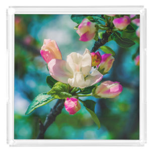 Crabapple flower and buds acrylic tray