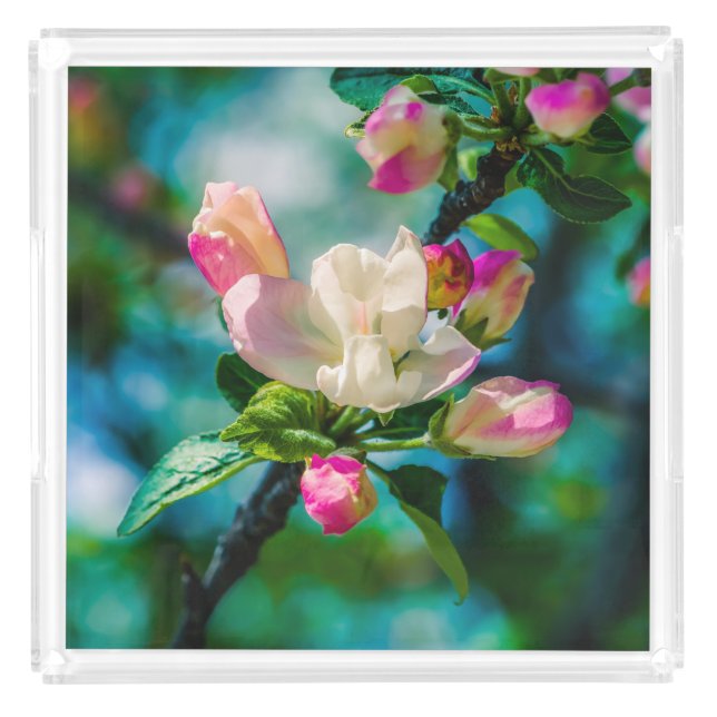 Crabapple flower and buds acrylic tray (Front)