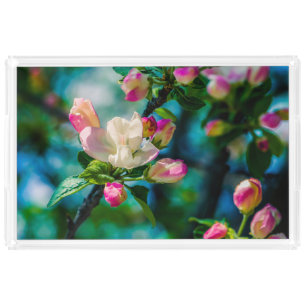 Crabapple flower and buds acrylic tray