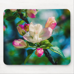 Crabapple flower and buds mouse pad