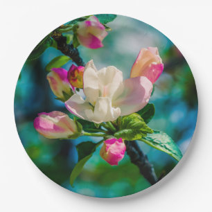 Crabapple flower and buds paper plates