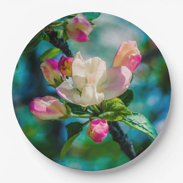 Crabapple flower and buds paper plates (Front)