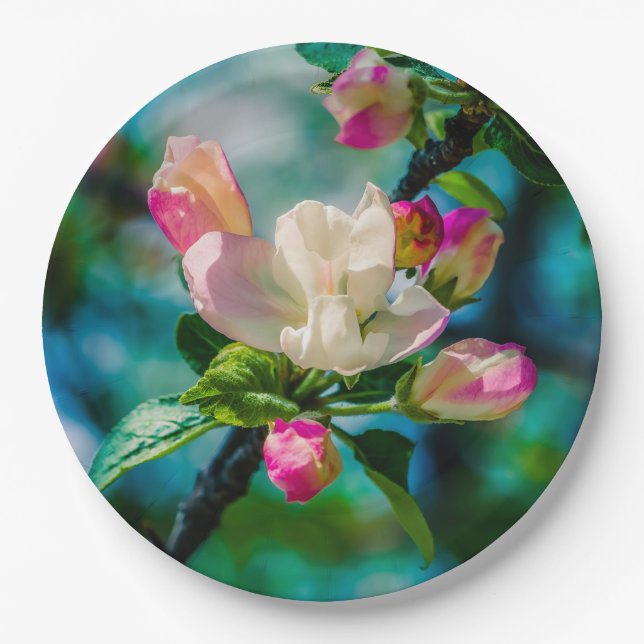 Crabapple flower and buds paper plates (Front)