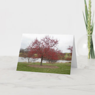 Crabapple Holiday Card