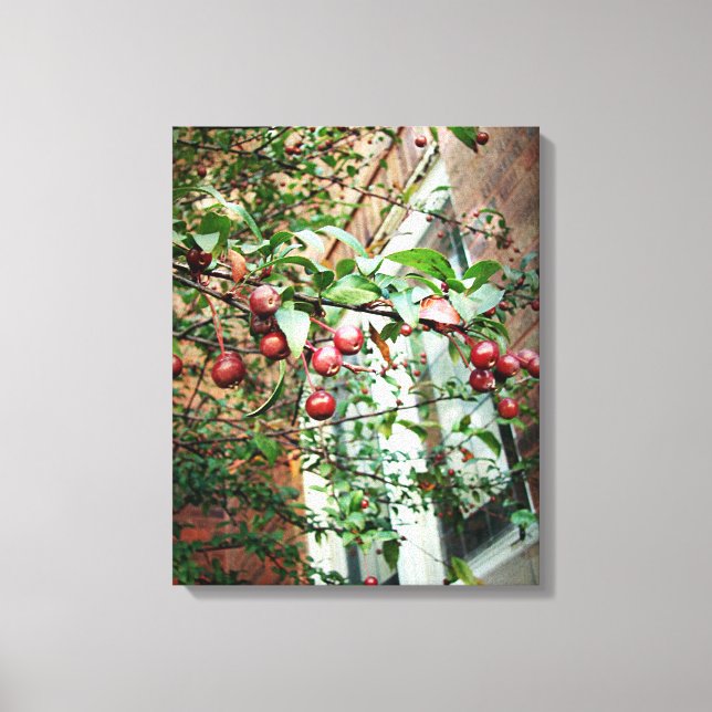 Crabapples Canvas Print (Front)