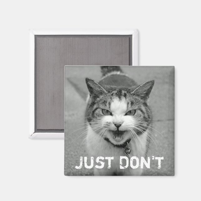 Crabby Cat Magnet (Front/Back)