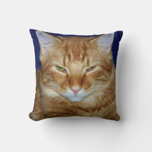 Crabby Cat _ Orange Maine Coon Throw Pillow
