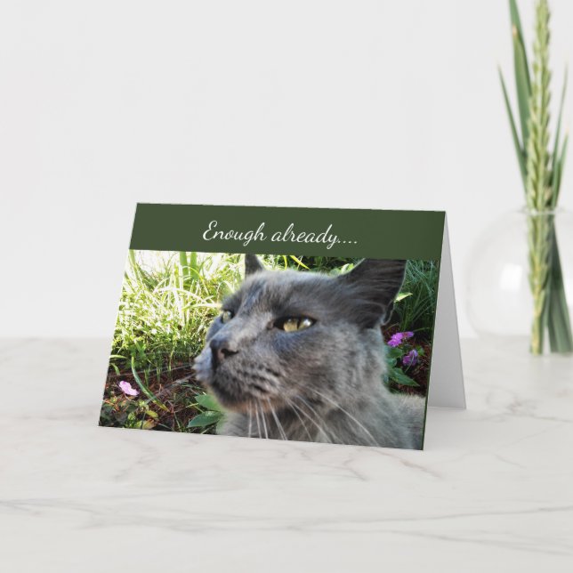 Crabby Cat with Funny Expression Note Card (Front)
