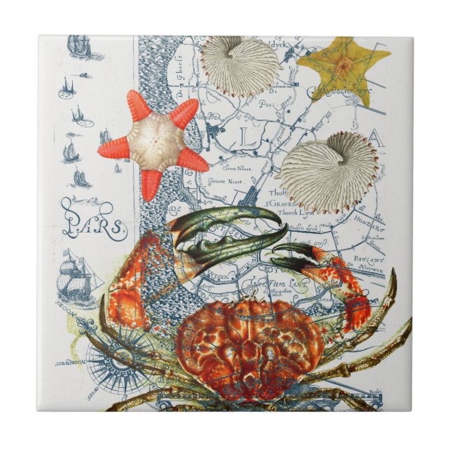 crabby map starfish tile (Front)