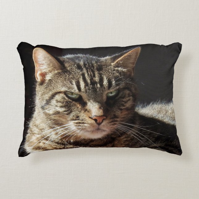 Crabby Tabby Cat Accent Pillow (Front)