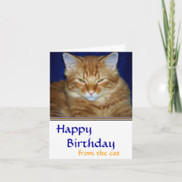 Crabby  Tabby Cat  Birthday Card - Funny