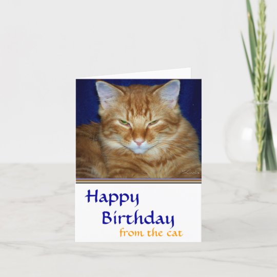 Crabby Tabby Cat Birthday Card - Funny | Zazzle.com