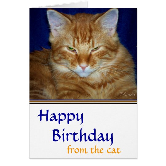 Crabby Tabby Cat Birthday Card - Funny | Zazzle