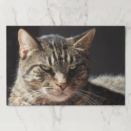 Crabby Tabby Cat Paper Pad