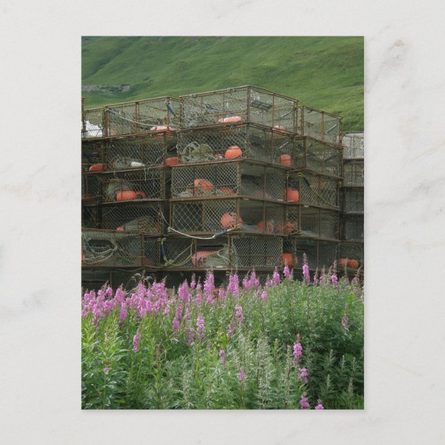 Crabpots stored in Dutch Harbor, Alaska Postcard (Front)