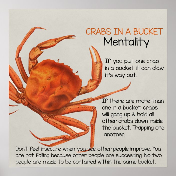 crabs-in-a-bucket-square-poster-print-zazzle