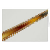 Crack - Fractal Card (Front Horizontal)