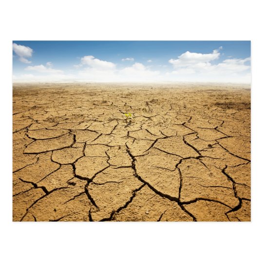 cracked_desert_floor_postcard r357dc0f76589490b8e7149533b51437c_vgbaq_8byvr_540