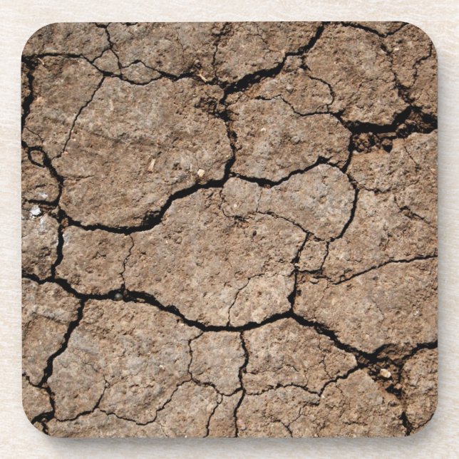 Cracked Dried Mud Beverage Coaster (Front)