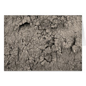 Cracked Earth Cool Texture (Front Horizontal)