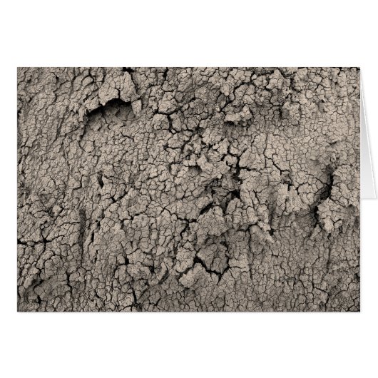 Cracked Earth Cool Texture Cards (Front Horizontal)