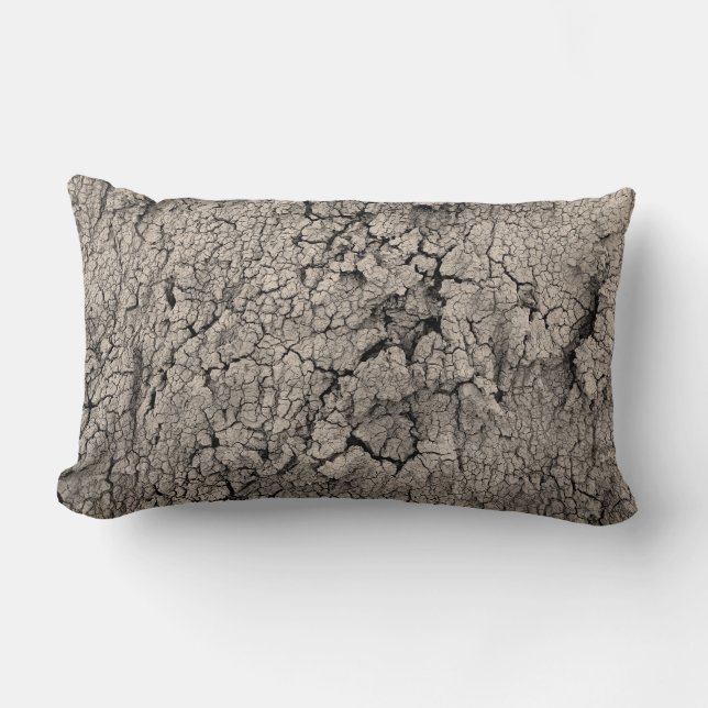 Cracked Earth Cool Texture Lumbar Pillow (Front)
