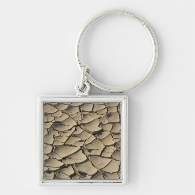 Cracked Mud formation in the Valley floor of Keychain (Front)