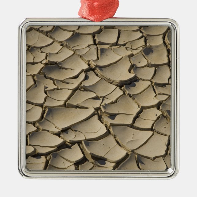 Cracked Mud formation in the Valley floor of Metal Ornament (Front)