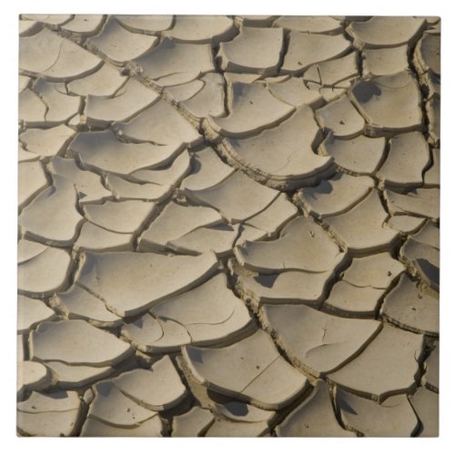 Cracked Mud formation in the Valley floor of Tile