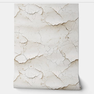 Cracked Painted Textured Wall