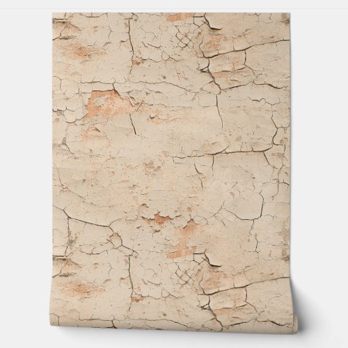 Cracked Textured Beige Painted Stucco Wall 