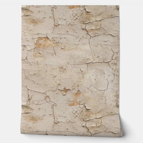 Cracked Textured Painted Stucco Wall 