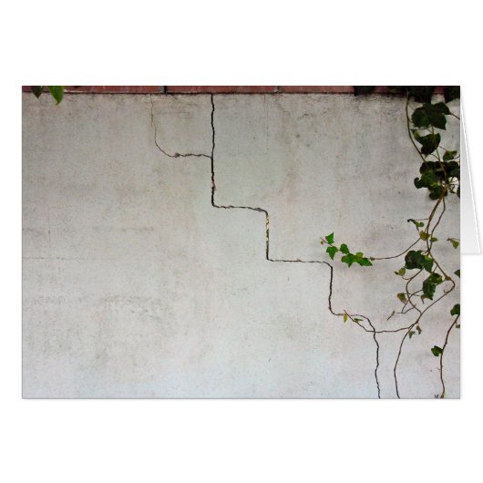Cracked with Vine Cards (Front Horizontal)
