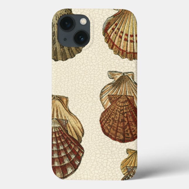 Crackled Antique Shells Case-Mate iPhone Case (Back)
