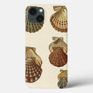 Crackled Antique Shells iPhone 13 Case