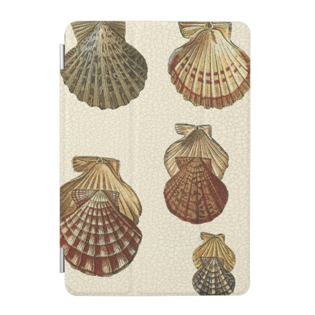 Crackled Antique Shells iPad Mini Cover (Front)