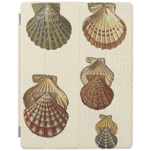 Crackled Antique Shells iPad Smart Cover (Front)