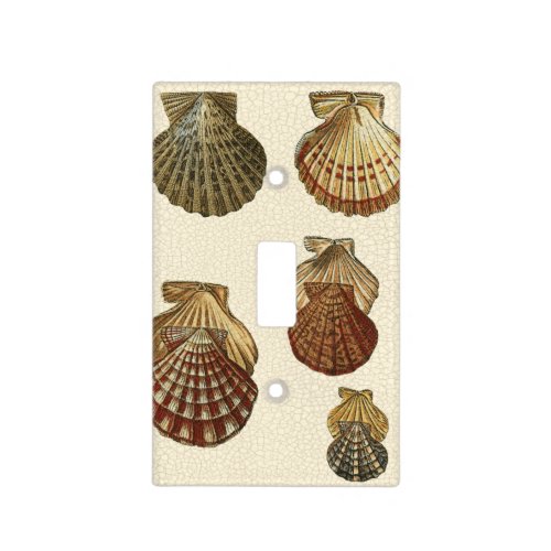 Crackled Antique Shells Light Switch Cover