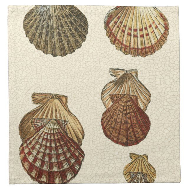 Crackled Antique Shells Napkin (Front)