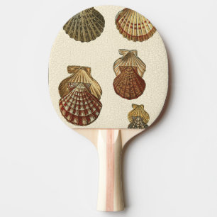 Crackled Antique Shells Ping-Pong Paddle