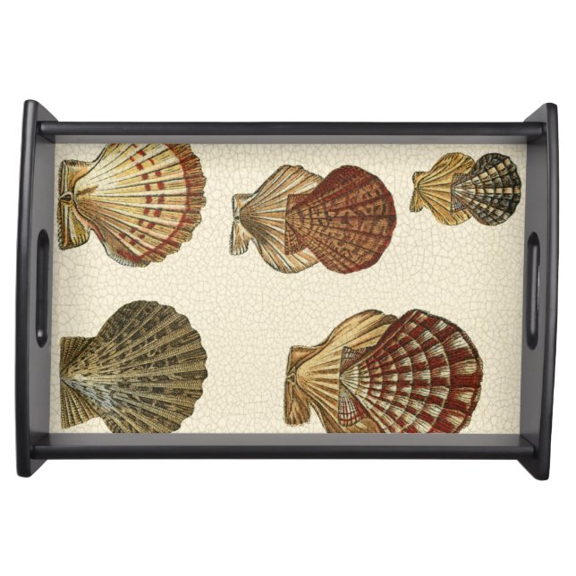 Crackled Antique Shells Serving Tray (Front)